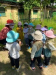 포토 갤러리 < 알림마당 | 소새울유치원 소새울유치원