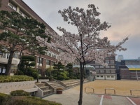 포토앨범 < 학생마당 | 부천정보산업고등학교 부천정보산업고등학교