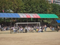 포토앨범 < 알림마당 | 부천일신초등학교 부천일신초등학교