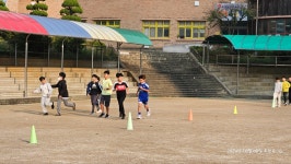 포토앨범 < 알림마당 | 부천일신초등학교 부천일신초등학교