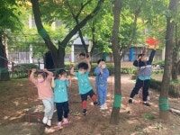 포토 갤러리 < 알림마당 | 소새울유치원 소새울유치원