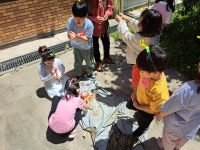 포토 갤러리 < 알림마당 | 소새울유치원 소새울유치원