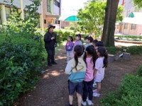 포토 갤러리 < 알림마당 | 소새울유치원 소새울유치원