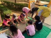 포토 갤러리 < 알림마당 | 소새울유치원 소새울유치원