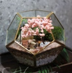 독서문화강좌 신청 < 독서문화행사 - 곡성군 옥과공공도서관 독서문화강좌 신청 < 독서문화행사 -  곡성군 옥과공공도서관