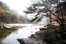 도림사오토캠핑리조트 - 곡성문화관광 도림사오토캠핑리조트