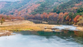 대황강 드라이브 코스 경치 감상 포인트 추천 - 곡성문화관광  대황강 드라이브 코스 경치 감상 포인트 추천   