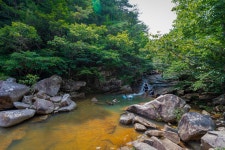 [7월] 곡성 도림사 계곡과 도림사 오토 캠핑장 워터파크 - 곡성문화관광 [7월] 곡성 도림사 계곡과 도림사 오토 캠핑장 워터파크 