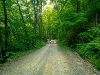 [7월] 태안사 계곡에서 숲멍. 물멍 힐링산책 즐기세요. - 곡성문화관광 [7월] 태안사 계곡에서 숲멍. 물멍 힐링산책 즐기세요.   