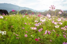 가을여행-대황강 물레방아 도는 내력은? - 곡성문화관광 가을여행-대황강 물레방아 도는 내력은?