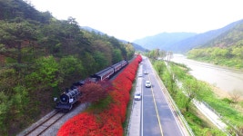 섬진강 철쭉길 - 곡성문화관광 섬진강 철쭉길