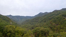 동악산과 도림사 - 곡성문화관광 동악산과 도림사