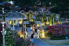 장미공원 사진 - 곡성문화관광 장미공원 사진