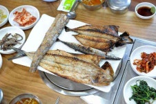 생선나라&단비 - 곡성문화관광 생선나라&단비