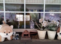 소풍숲펜션 - 곡성문화관광 소풍숲펜션