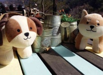 소풍숲펜션 - 곡성문화관광 소풍숲펜션