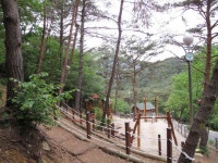 청계동솔바람야영장 - 곡성문화관광 청계동솔바람야영장