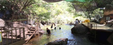 도림사계곡민박 - 곡성문화관광 도림사계곡민박