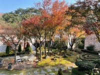 곡성나무펜션 한그루, 두그루, 네그루, 다섯그루 - 곡성문화관광 곡성나무펜션 한그루, 두그루, 네그루, 다섯그루