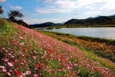 대황강자연휴식공원 - 곡성문화관광 대황강자연휴식공원