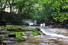 도림사 계곡 - 곡성문화관광 도림사 계곡