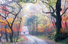 태안사계곡 - 곡성문화관광 태안사계곡