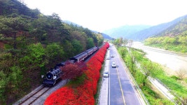 섬진강변 철쭉길 - 곡성문화관광 섬진강변 철쭉길