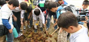 봉조농촌체험휴양마을(봉조농촌체험학교) - 곡성문화관광 봉조농촌체험휴양마을(봉조농촌체험학교)