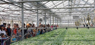 대신정보화마을 - 곡성문화관광 대신정보화마을