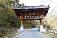 도림사 (道林寺) - 곡성문화관광 도림사 (道林寺)