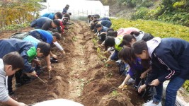 봉조농촌체험휴양마을(봉조농촌체험학교) - 곡성문화관광 봉조농촌체험휴양마을(봉조농촌체험학교)