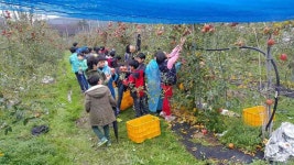 죽산사과체험휴양마을 - 곡성문화관광 죽산사과체험휴양마을