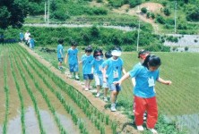 봉조농촌체험휴양마을(봉조농촌체험학교) - 곡성문화관광 봉조농촌체험휴양마을(봉조농촌체험학교)