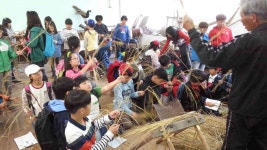 봉조농촌체험휴양마을(봉조농촌체험학교) - 곡성문화관광 봉조농촌체험휴양마을(봉조농촌체험학교)