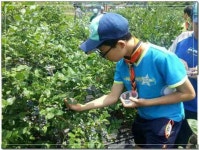 두계외갓집농촌체험휴양마을 - 곡성문화관광 두계외갓집농촌체험휴양마을