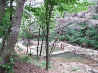 청계동 솔바람야영장 - 곡성문화관광 청계동 솔바람야영장