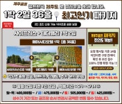 골마켓 26년 5월 제주 사이프러스+테디밸리CC 1박2일 패키지