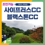 골마켓 26년 1월 제주 사이프러스+블랙스톤CC 1박2일 패키지