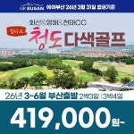 골마켓 청도 다색골프