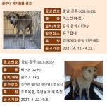 공지사항 > 시정소식 > 공주시청 