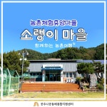 센터소식 > 소식 > 공동체종합지원센터  센터소식 > 소식 >