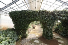 체험장둘러보기 > 시민자연학습체험장 > 센터시설소개 > 센터소개 > 공주시 농업기술센터  체험장둘러보기 > 시민자연학습체험장 > 센터시설소개... 