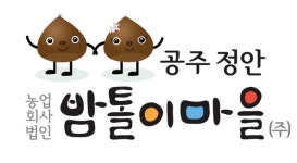공동체종합지원센터 공주시 공동체종합지원센터, 신활력추진단