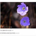 식물갤의 위엄.jpg - 고급유머 식물갤의 위엄.jpg