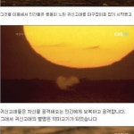 인간을 용서한 고래.jpg - 고급유머 인간을 용서한 고래.jpg