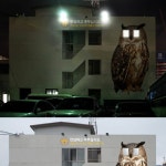 강남경찰서의 부엉이.jpg - 고급유머 강남경찰서의 부엉이.jpg