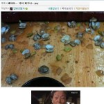 에미야...국이 짜구나.jpg - 고급유머 에미야...국이 짜구나.jpg