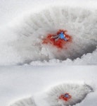 미니어처 세계.jpg - 고급유머 미니어처 세계.jpg