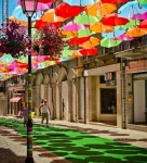 알록달록 우산거리.jpg - 고급유머 알록달록 우산거리.jpg