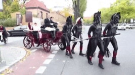 깊고 어두운 마차.gif - 고급유머 깊고 어두운 마차.gif